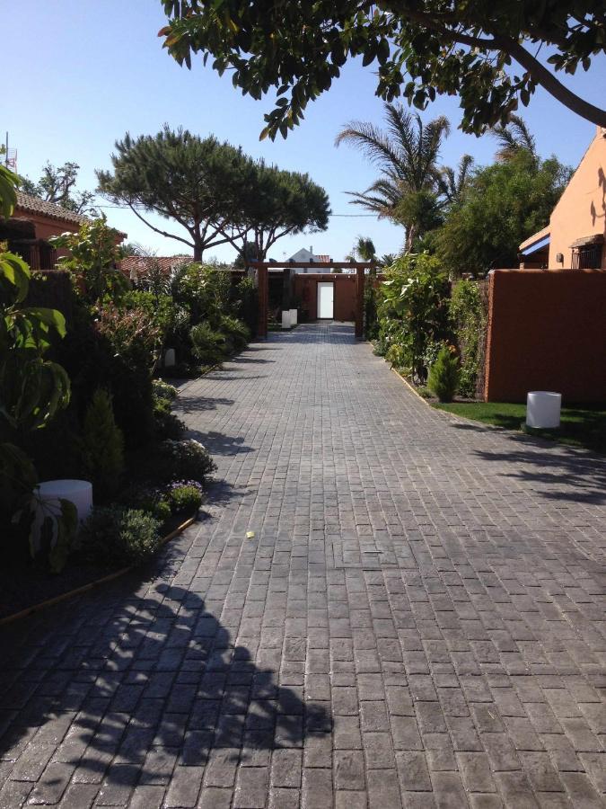 Estudio Para Pareja Con Jardincito Privado Barbaco Cádiz Eksteriør bilde